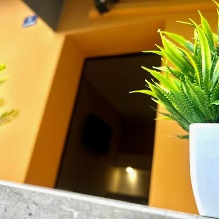 Residence Zar 8 Triest Zewnętrze zdjęcie