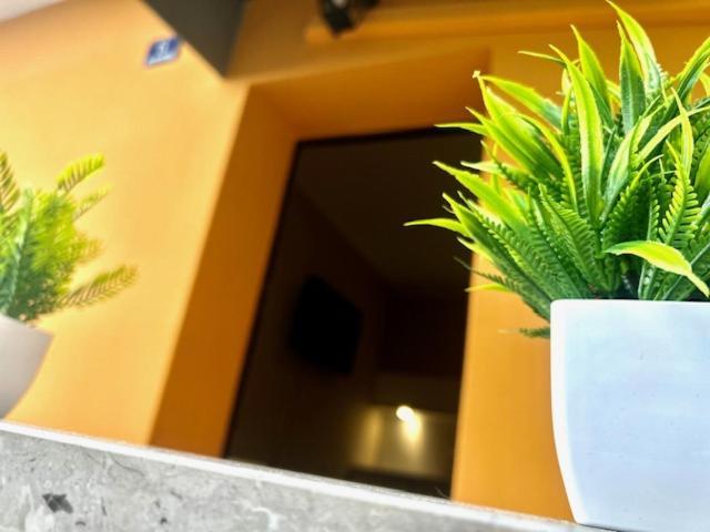 Residence Zar 8 Triest Zewnętrze zdjęcie