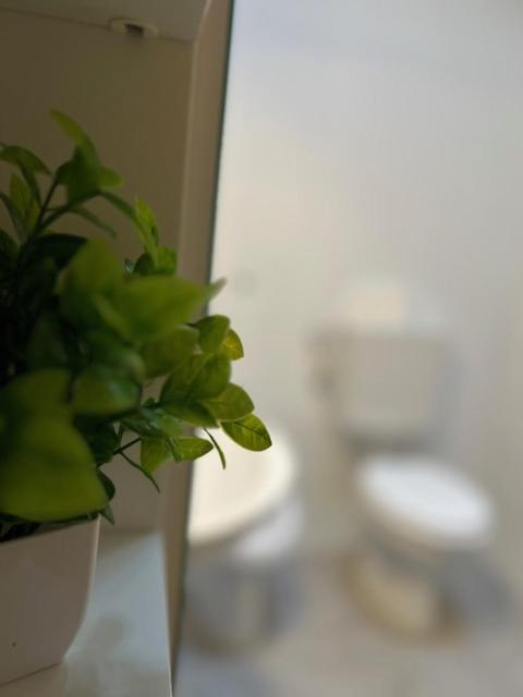 Residence Zar 8 Triest Zewnętrze zdjęcie