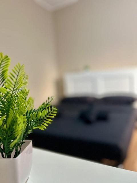 Residence Zar 8 Triest Zewnętrze zdjęcie